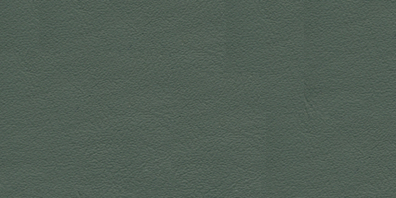 Used mainly in XK Jaguar until the mid 1970s